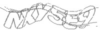 Check code
