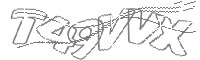 Check code